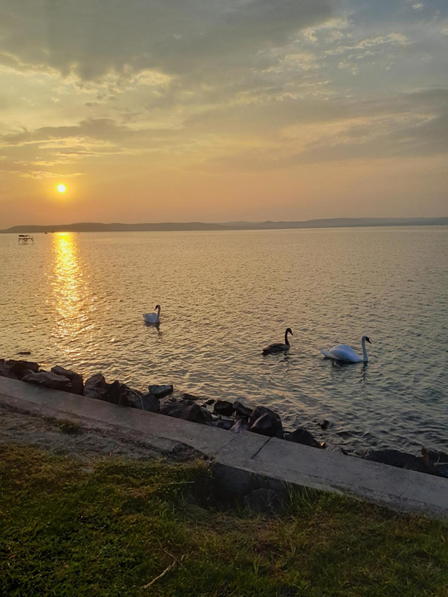 Traumlage Direkt Am See บาลาตอนเซเมช ภายนอก รูปภาพ